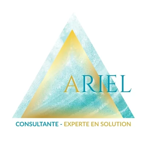 Ariel - Consultante experte en solution